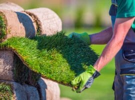 Natural Grass Turf Check Before Installation in a Garden إيزي جاردن خدمات تنسيق الحدائق في الكويت