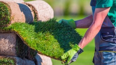 Natural Grass Turf Check Before Installation in a Garden إيزي جاردن خدمات تنسيق الحدائق في الكويت